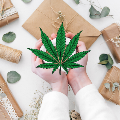 Personalized Cannabis Event Experience in Maine